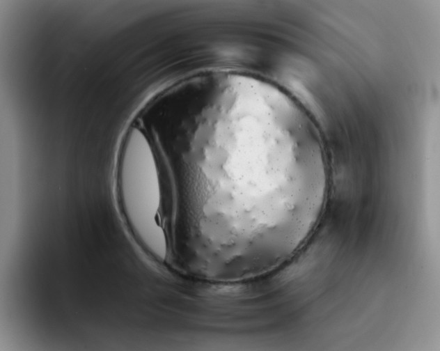 X0000092060845200709262026