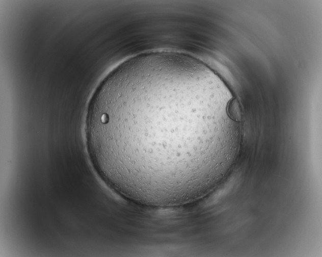 X0000092060847200709262026