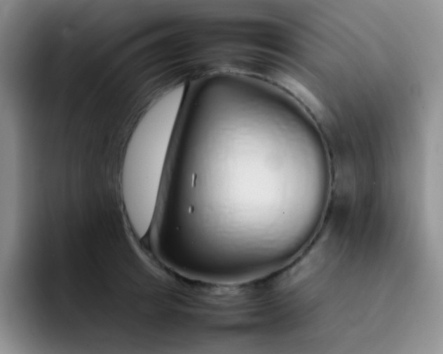 X0000092060849200709262026