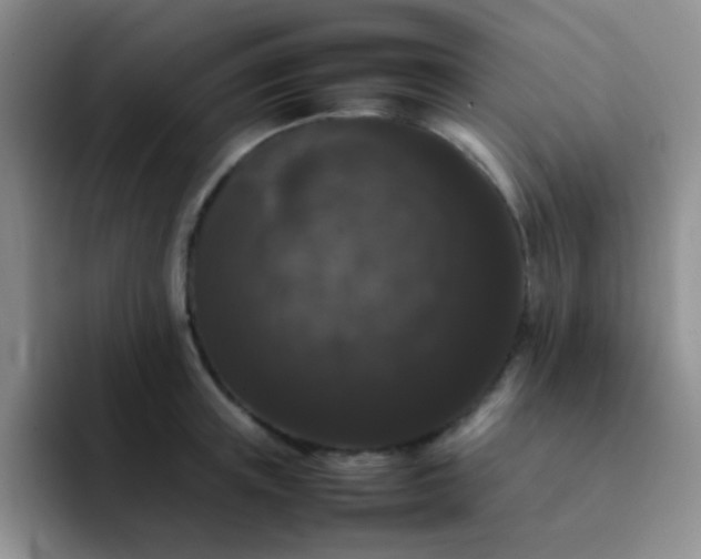 X0000092060851200709262026