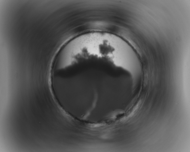 X0000092060853200709262026