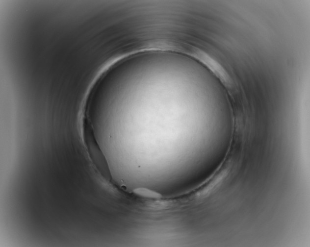 X0000092060854200709262026