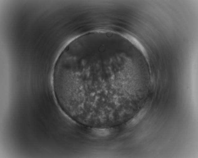 X0000092060855200709262026