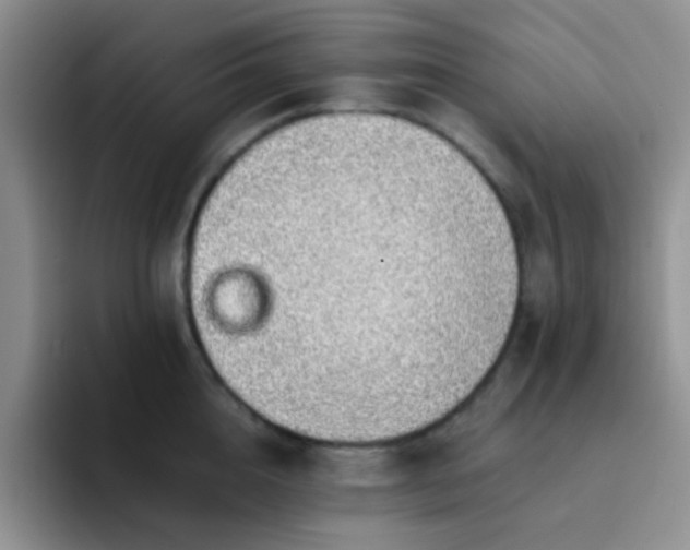 X0000092060856200709262026