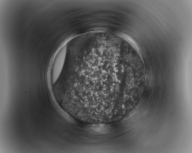 X0000092060859200709262026