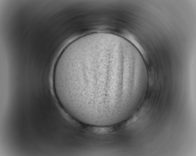 X0000092060861200709262026