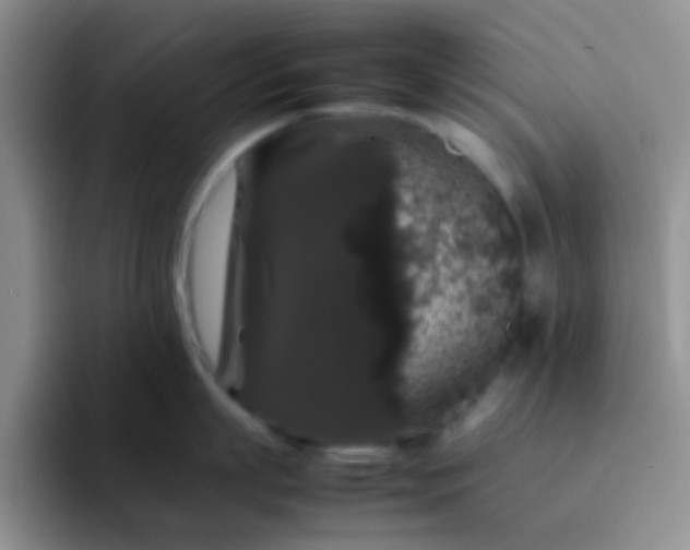 X0000092060863200709262026