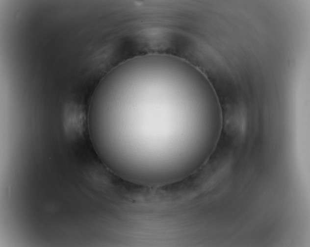 X0000092060866200709262026