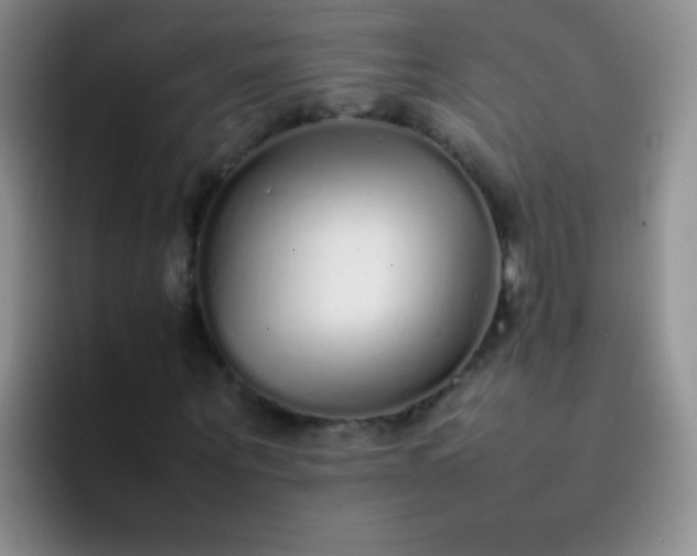 X0000092060867200709262026