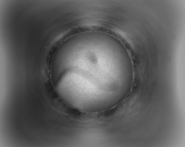 X0000092060871200709262026