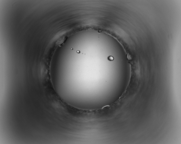 X0000092060872200709262026