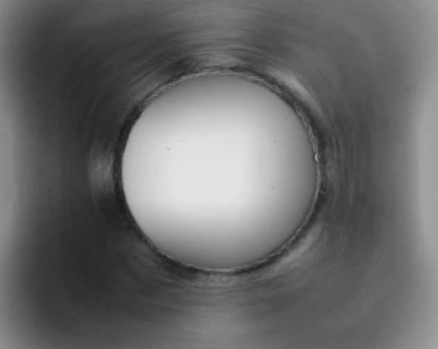 X0000092060873200709262026