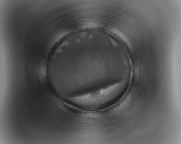 X0000092060874200709262026