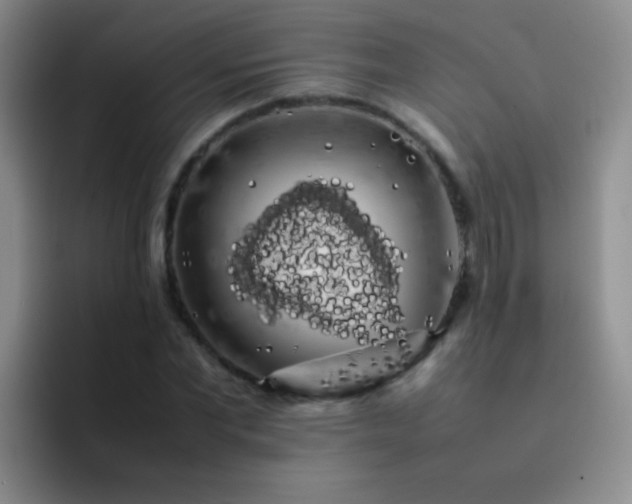 X0000092060877200709262026