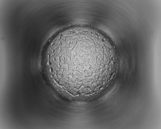 X0000092060878200709262026