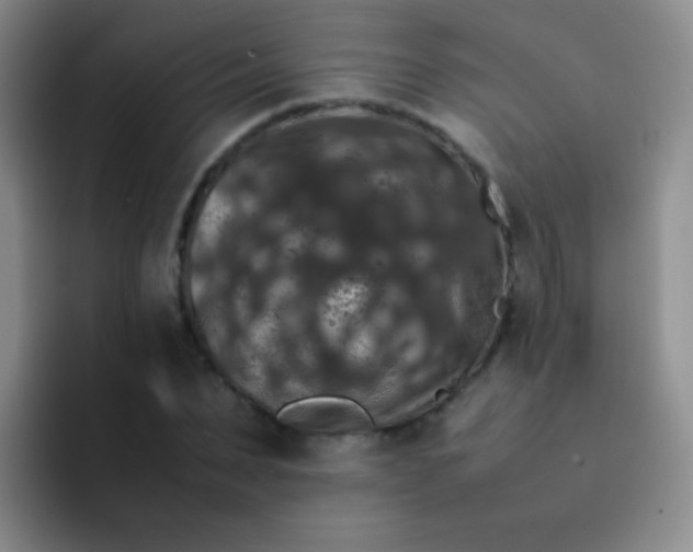 X0000092060879200709262026