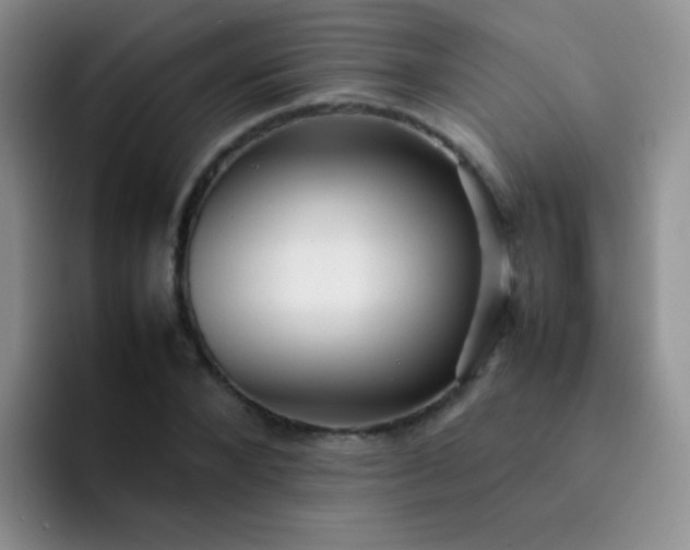 X0000092060880200709262026