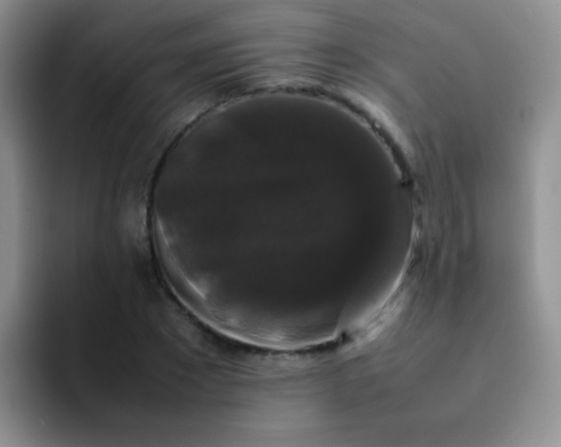 X0000092060881200709262026