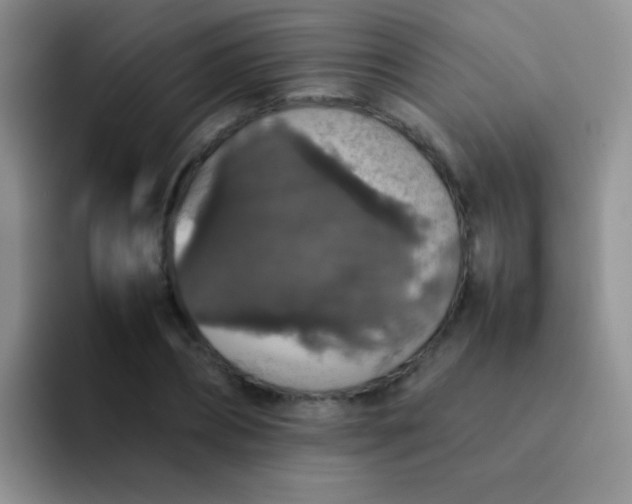 X0000092060882200709262026