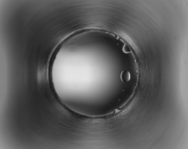 X0000092060884200709262025