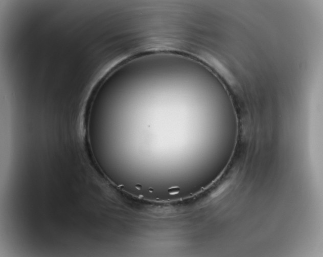 X0000092060885200709262025