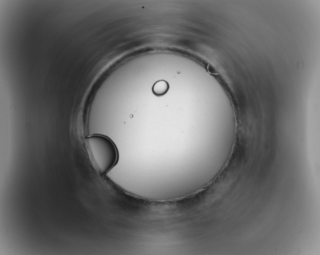 X0000092060887200709262025