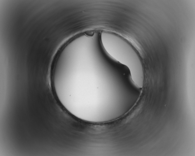 X0000092060888200709262025