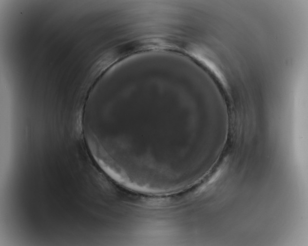 X0000092060889200709262025