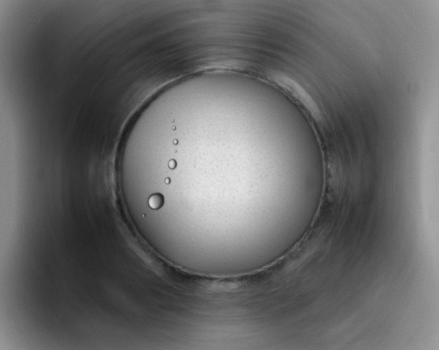 X0000092060890200709262025