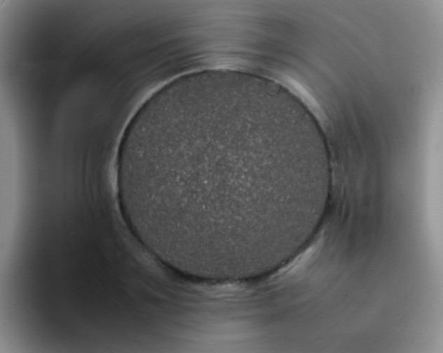 X0000092060891200709262025