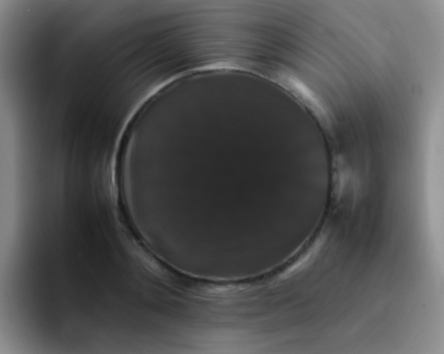 X0000092060892200709262025