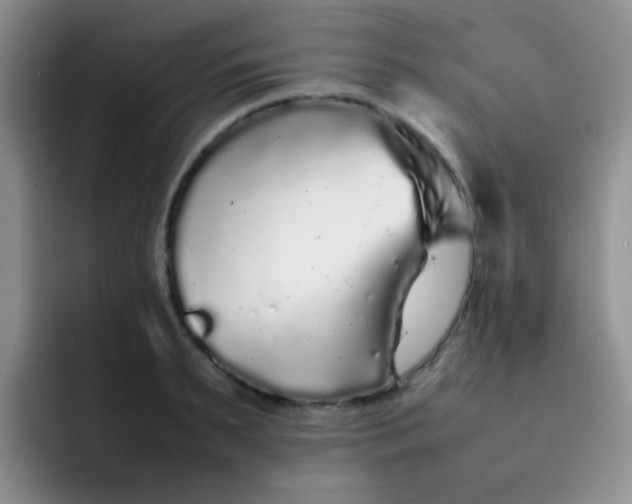 X0000092060895200709262025