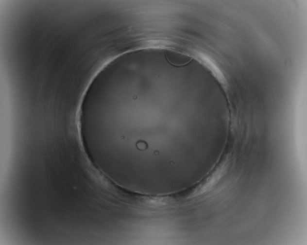 X0000092060899200709262025