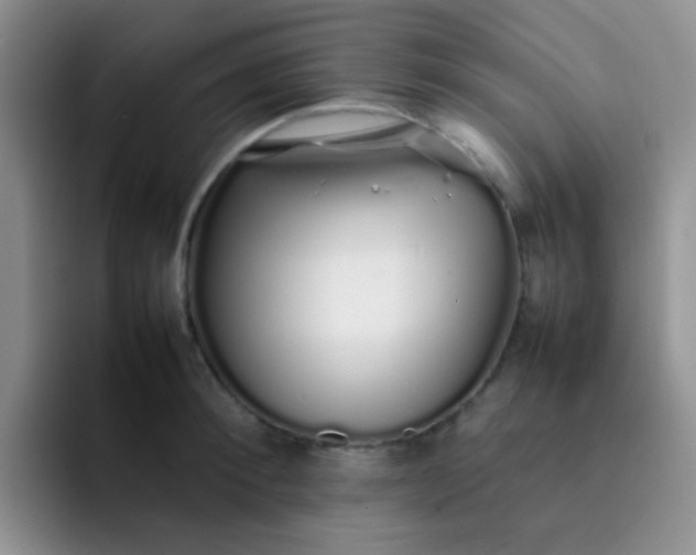 X0000092060900200709262025