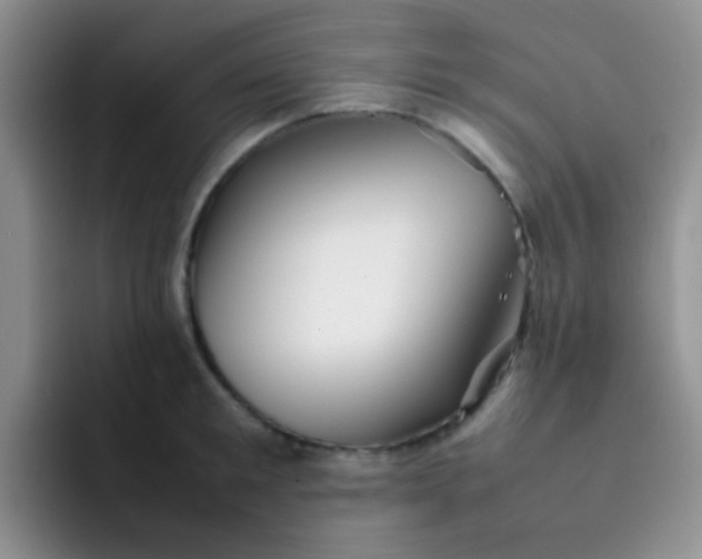 X0000092060901200709262025