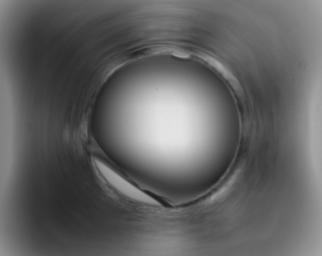 X0000092060905200709262025