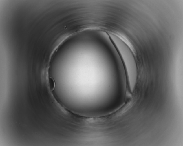 X0000092060906200709262025