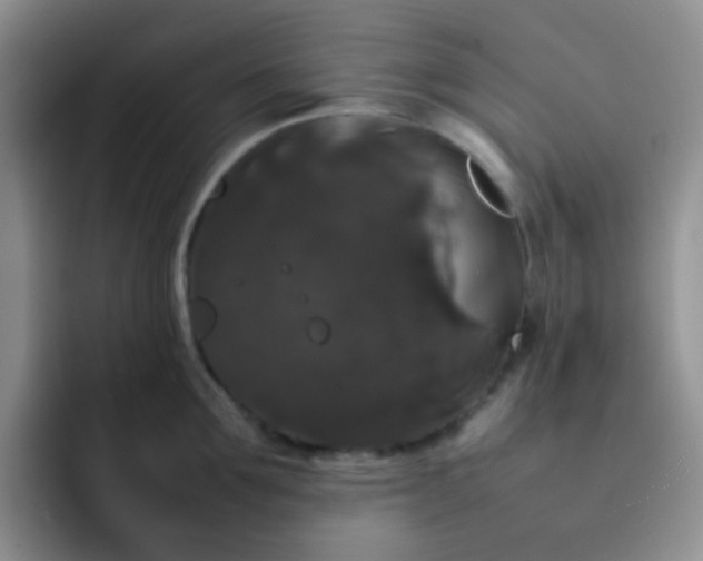 X0000092060907200709262025