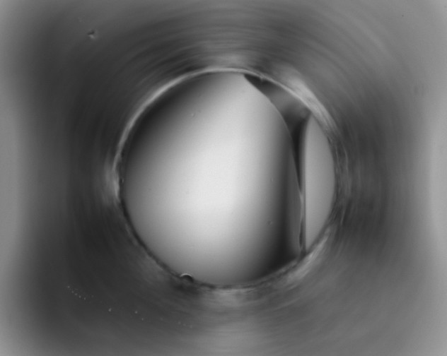 X0000092060908200709262025