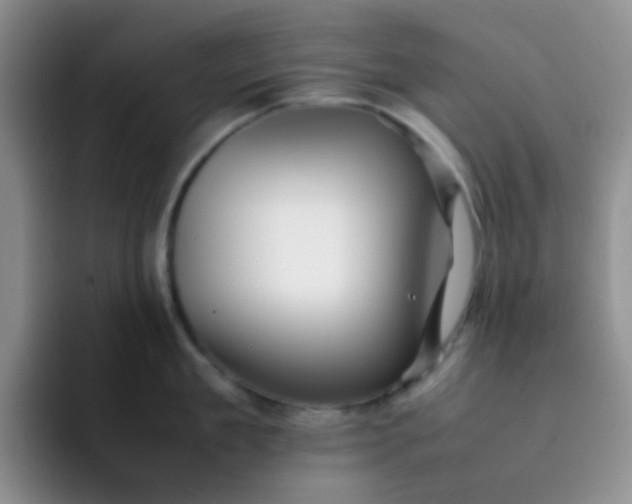 X0000092060909200709262025