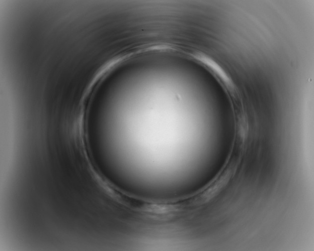 X0000092060910200709262025