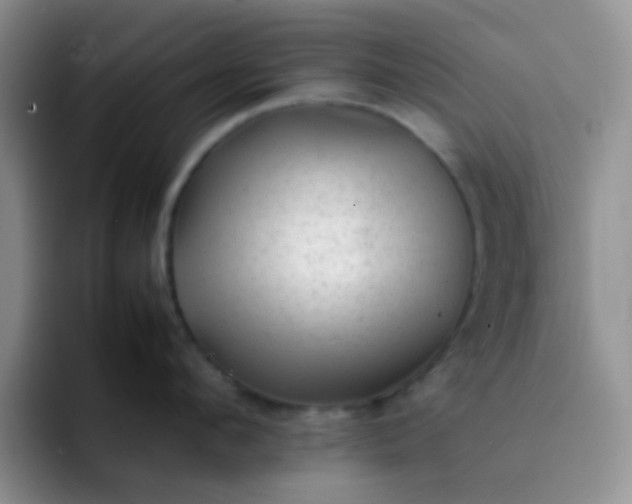 X0000092060912200709262025