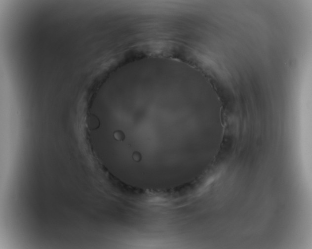 X0000092060913200709262025