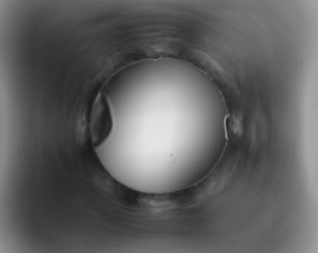 X0000092060915200709262025