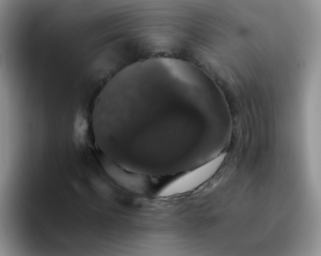 X0000092060916200709262025