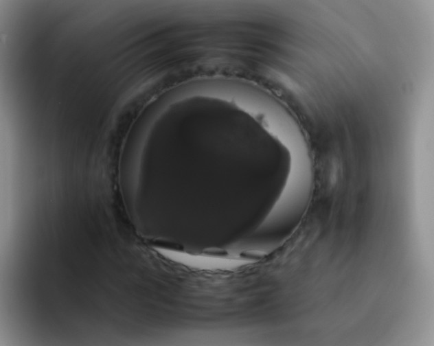 X0000092060919200709262025