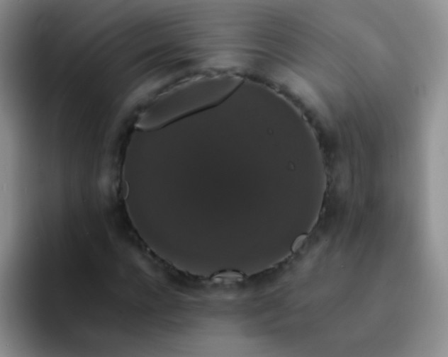 X0000092060920200709262025