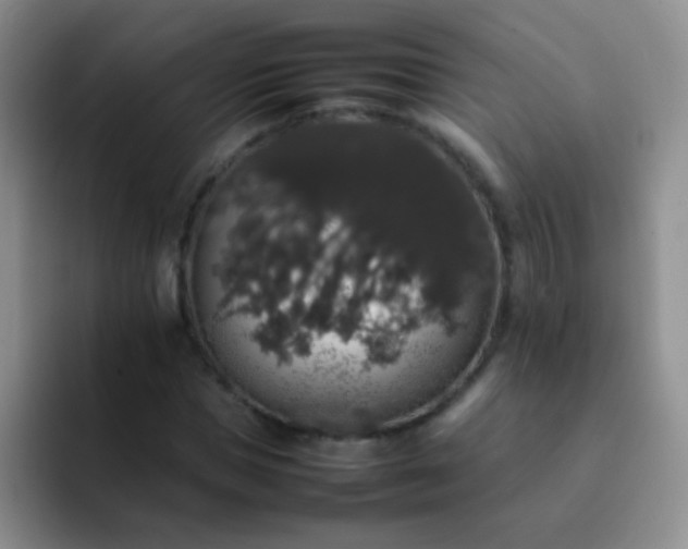 X0000092060921200709262025