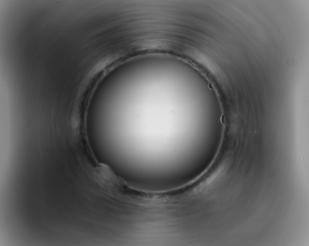 X0000092060922200709262025