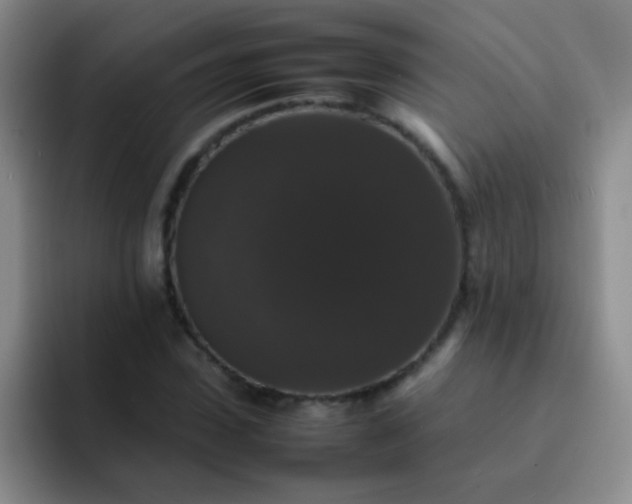 X0000092060923200709262025